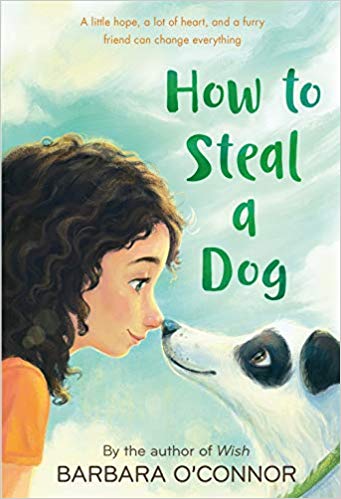 How to Steal a Dog: A Novel Paperback – April 28, 2009